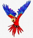 Káº¿t quáº£ hÃ¬nh áº£nh cho parrot    flying clipart