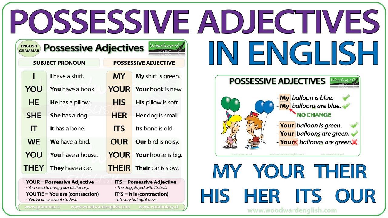 ESL VIDEO: Possessive Adjectives in English - Grammar Lesson | Possessive  adjectives, English adjectives, Adjectives grammar