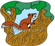 http://www.picturesof.net/_images_300/Squirrel_Climbing_A_Tree_Royalty_Free_Clipart_Picture_090122-111780-508048.jpg